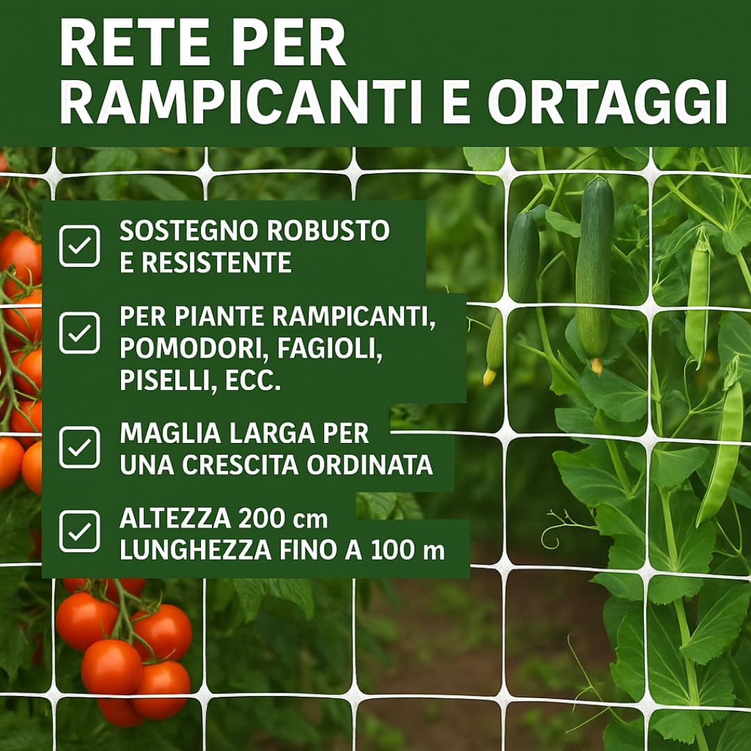YDHfdc Rete per Rampicanti Rete per Piante con 50 Reggette Fili Rete