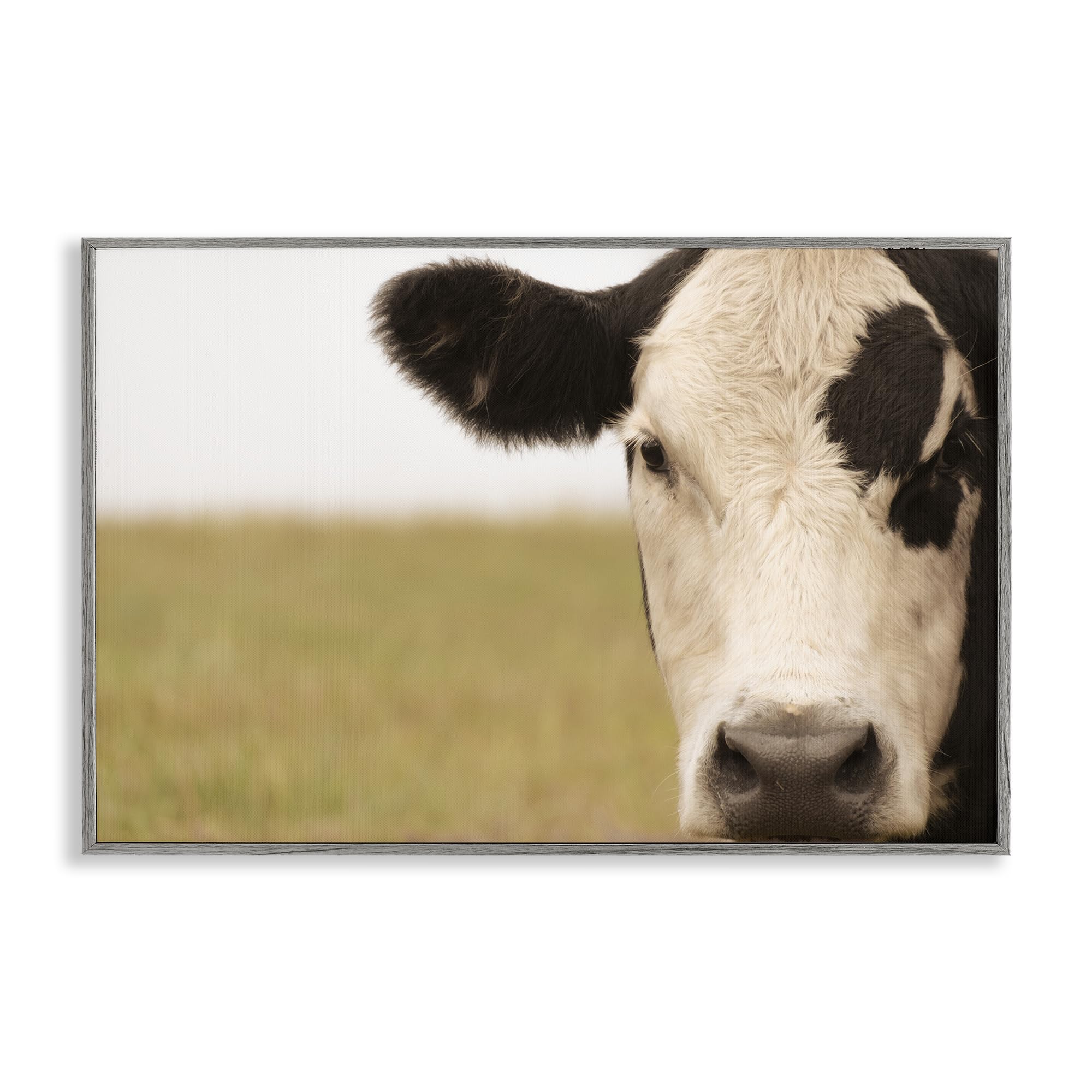 Mur vide et triste ? Habillez-le avec le cadre giclée vache rustique grise Stupell