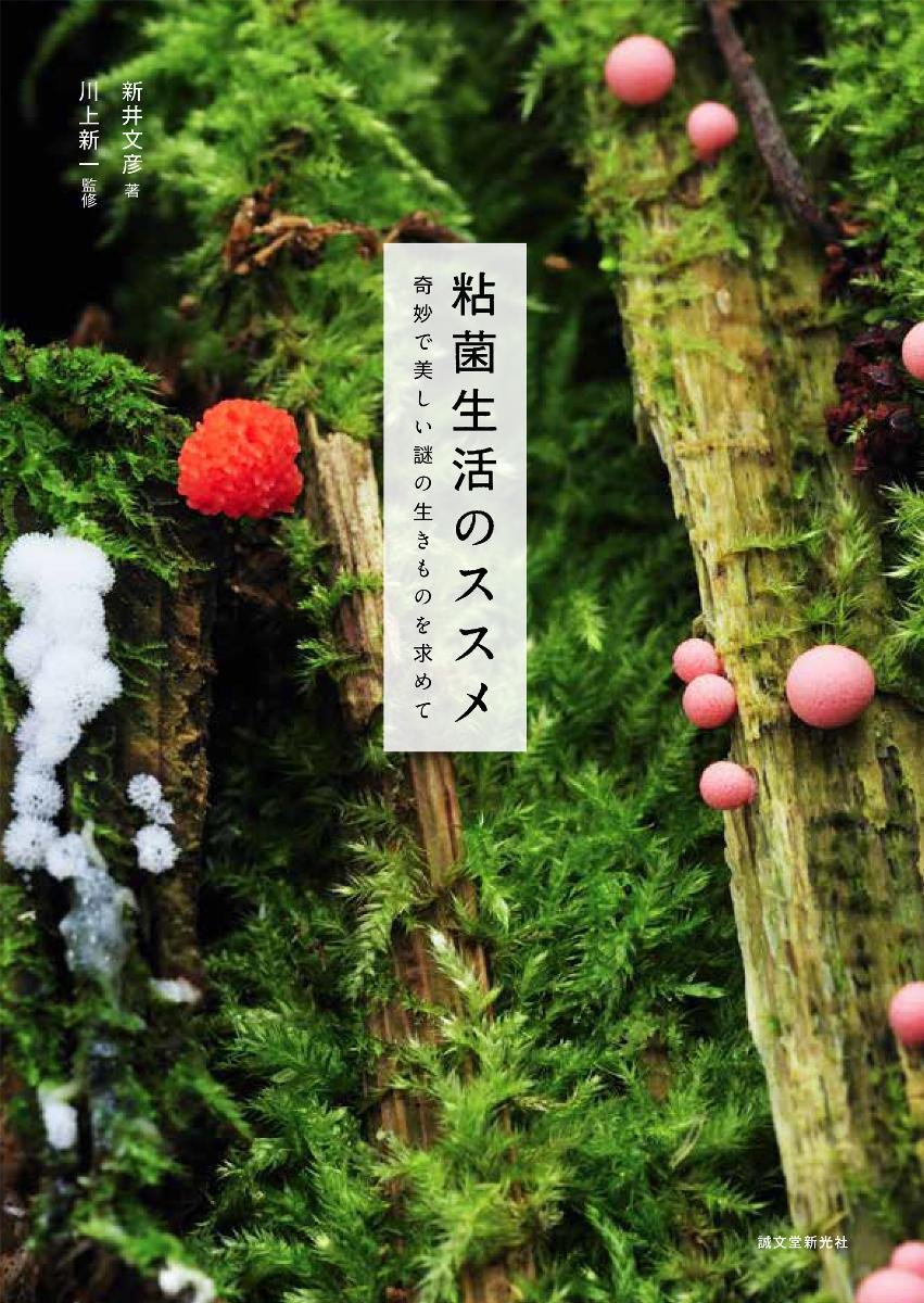 粘菌生活のススメ 奇妙で美しい謎の生きものを求めて 文彦 新井 新一 川上 本 通販 Amazon