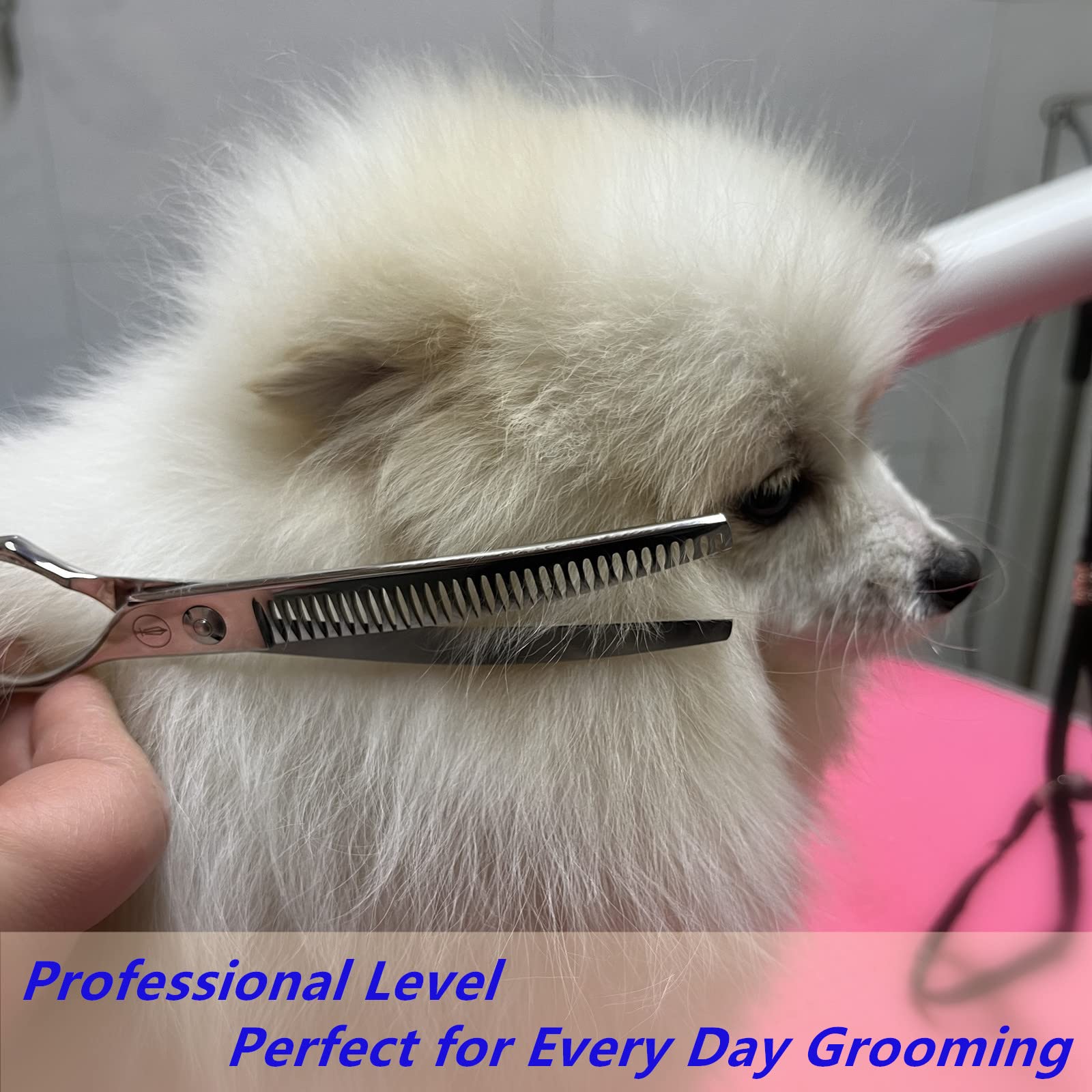 カットシザー(ハシモト) Amazon.com : HASHIMOTO Dog Grooming Scissors, Curved