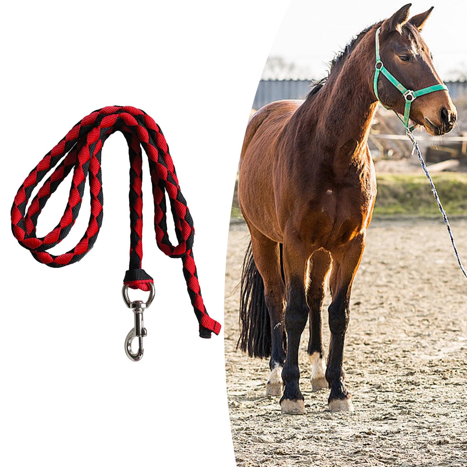 Correa de Caballo, Correa de Caballo Trenzada, para Sujetar Al Cabestro O Al Arnés, Cordón de Correa de Caballo con Clip de Presión, Cuerda de Correa