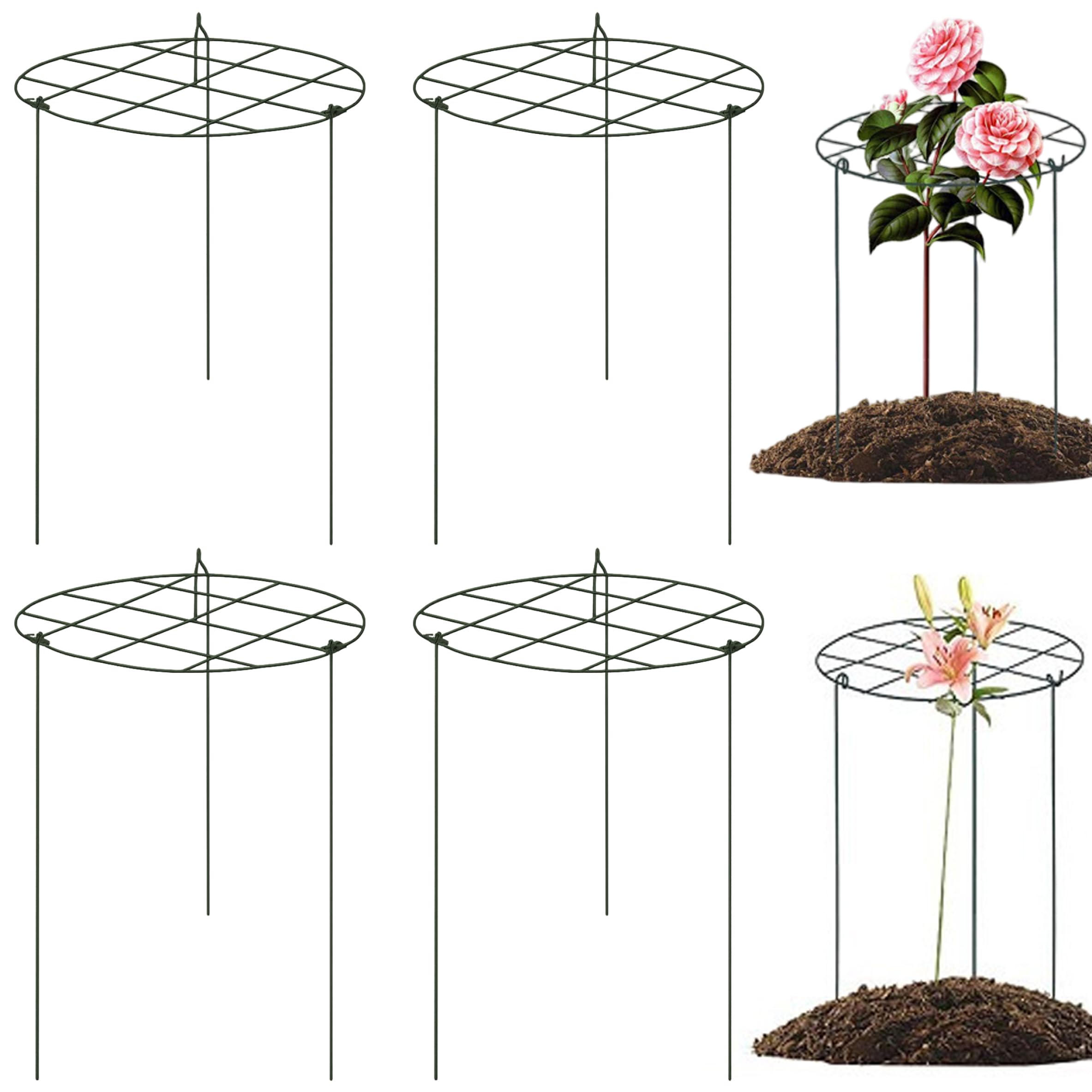 Supports plantes à grille en fer pour redresser les pivoines lourdes
