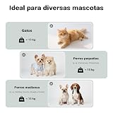 Ver la foto 4