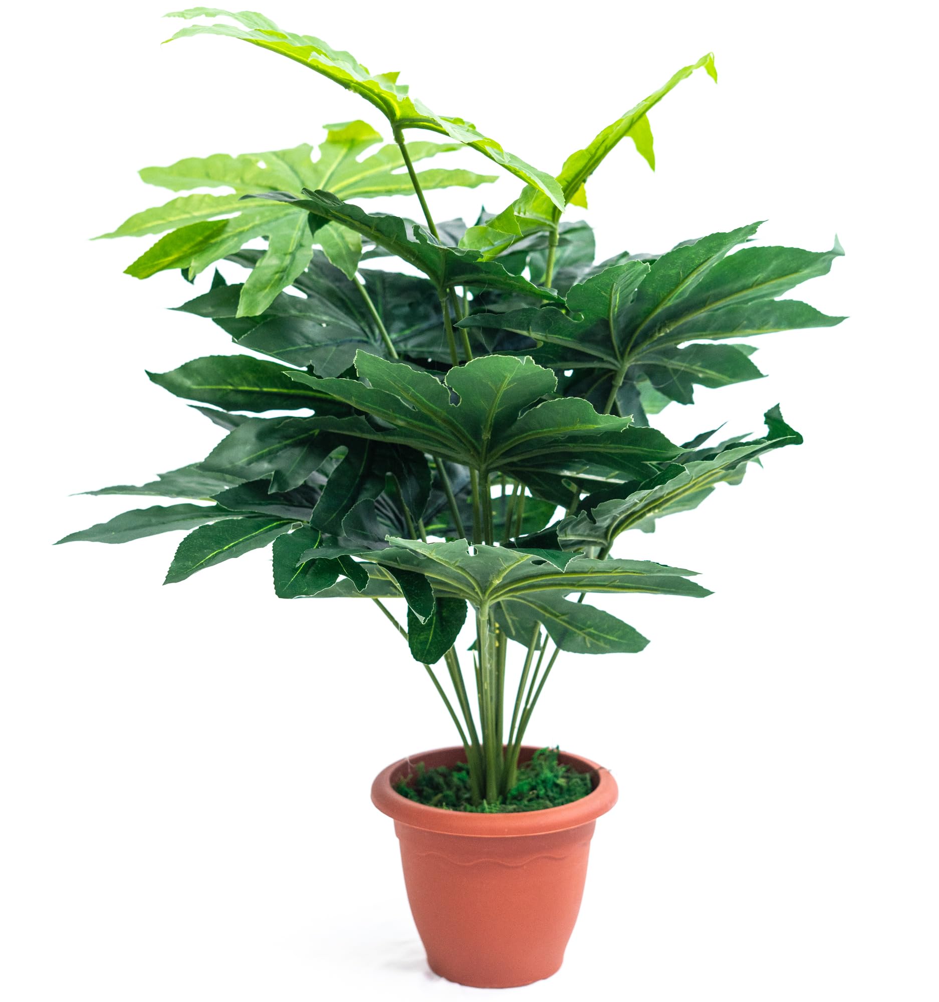 dewenwils funksteckdosen Funksteckdose mit Fernbedienung, 5 St., 2 Fernbedienungen + 5 Steckdosen IKEA Stoense Teppich rund