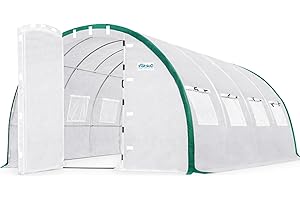 Quictent Greenhouse: Cultivating Green in Your Own Backyard