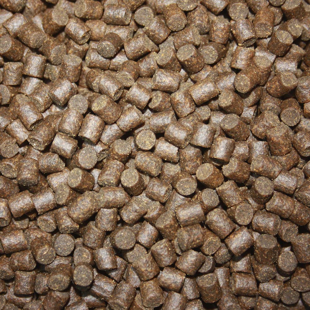 Koifutter Sinkfutter Koi Winterfutter sinkende Pellets kräfteschonend Energiefutter für Fische mit arktischem Fischmehl Fischöl hochverdaulich 5mm 15kg