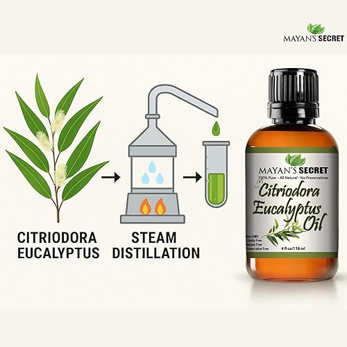 Miniatura 5 de Citriodora Aceite esencial de eucalipto, enorme 4 onzas, 100% puro y natural, botella de vidrio ámbar de alta calidad y cuentagotas