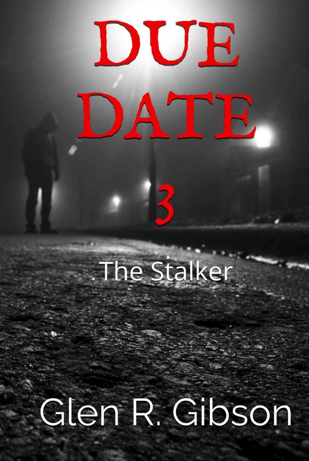 The Stalker: A Due Date Thriller (The Due Date Series)