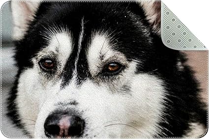 Amazon エリアラグ軽量 黒と白のシベリアンハスキー犬 フロアマットソフトカーペットチホームリビングダイニングルームベッドルーム Rupperttextile ラグ カーペット 通販