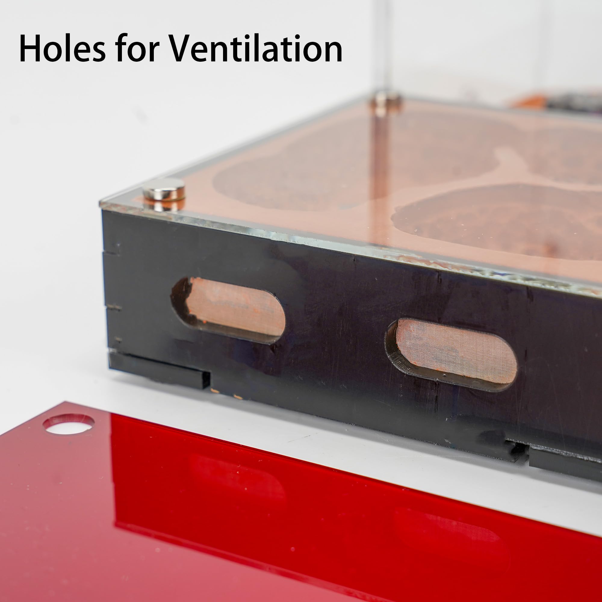 Formicaia ecologica modulare con coperture magnetiche in vetro, controllo umidità, ventilazione e porte di espansione, perfetto per gli appassionati di formiche (27,0 x 25,0 x 13,0 cm)