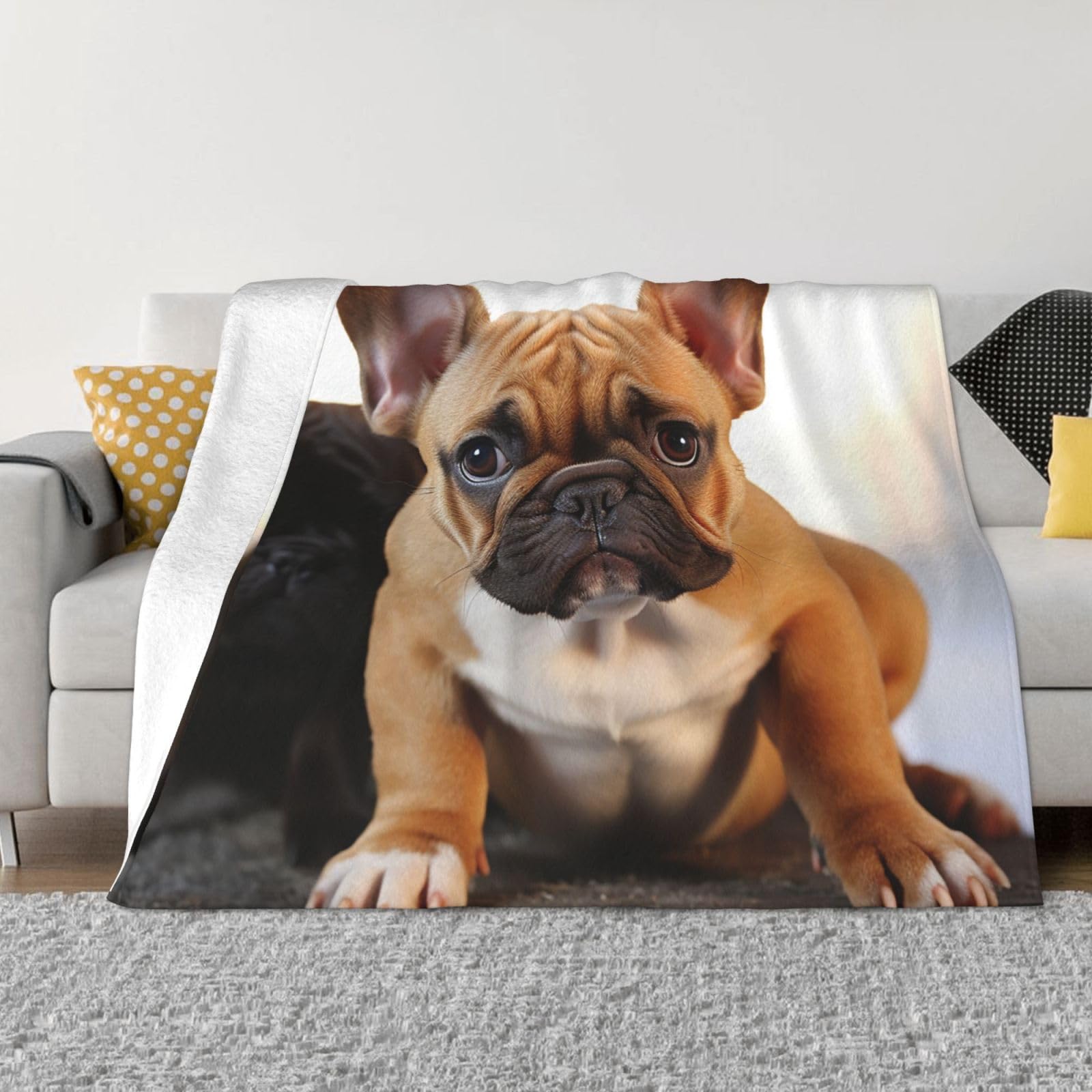 Couverture bouledogue français : le plaid doux idéal à offrir