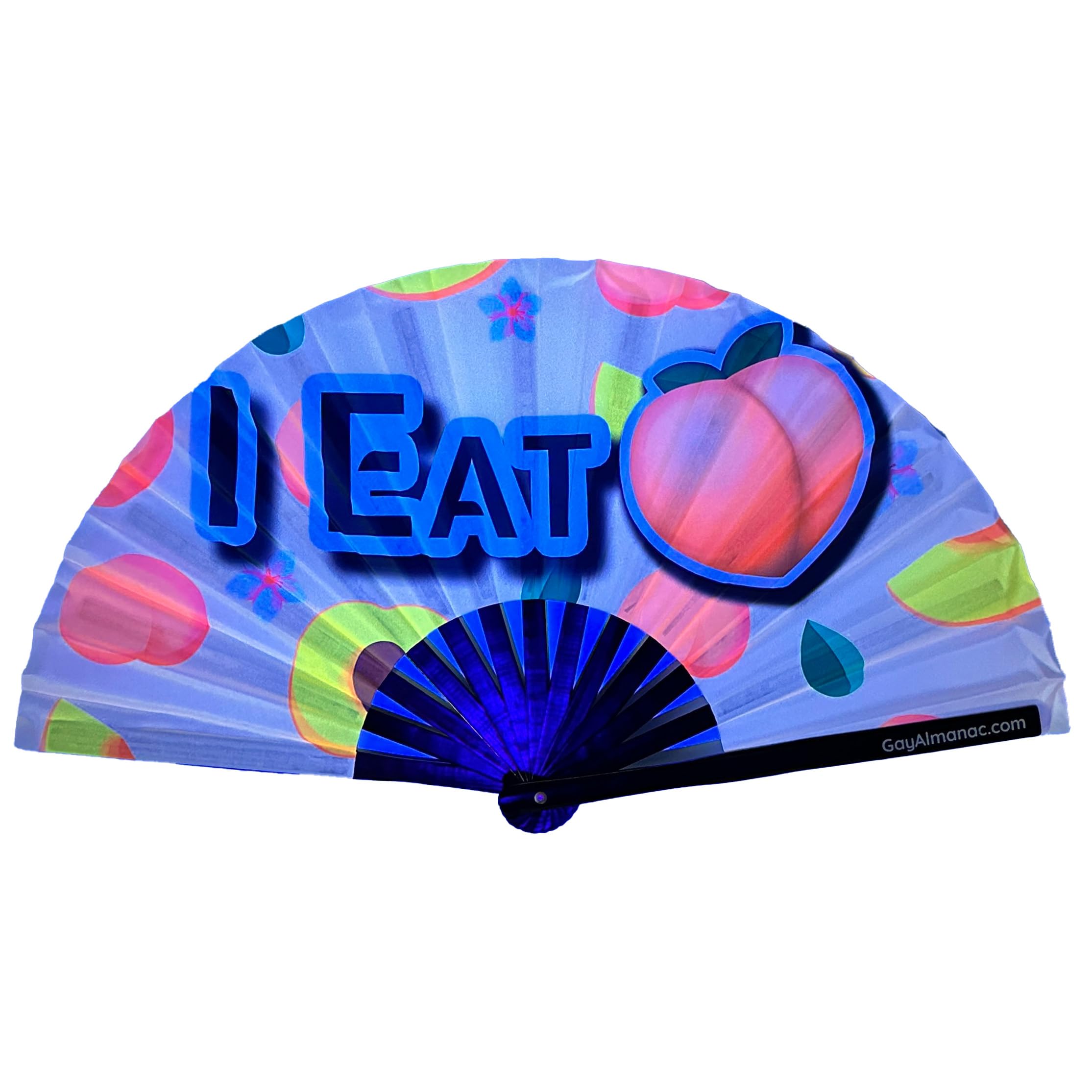 Amazon.com: PandaTak Pride Festival Handheld Fan – Large 13