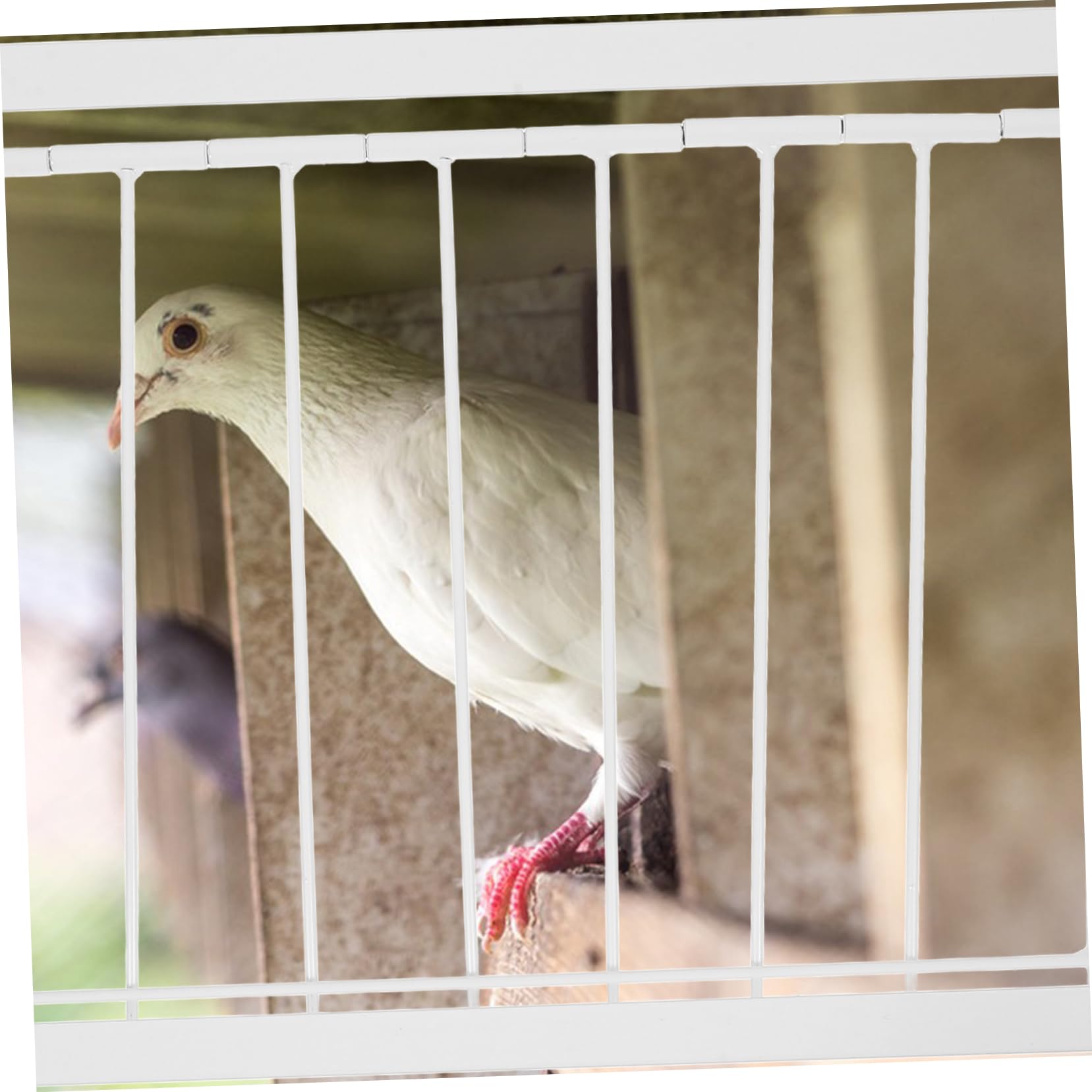 GANAZONO Pigeon Entrance Iron Cage Door 40x26cm for Racing Birds