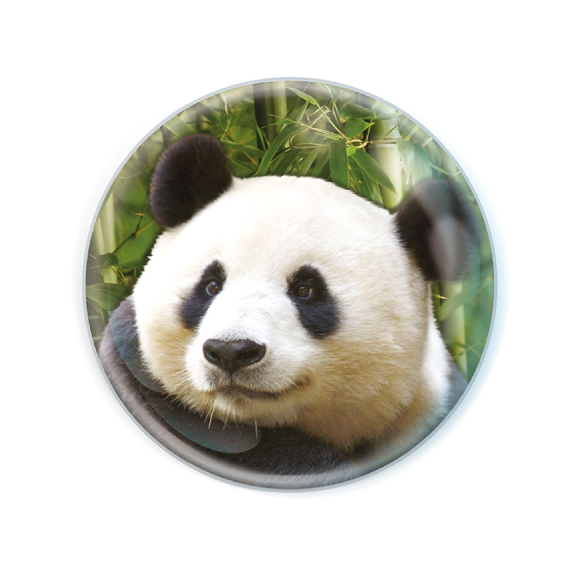 Deluxebase Magnidome Panda Fridge Magnet – Crystal Glass Dome Animal Magnets for Fridges, Decorative Strong Magnet for Kitchen Accessories, Novelty Gifts and Cute Home Decor.
