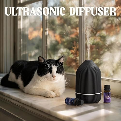 Miniatura 7 de Difusor de aceite esencial, difusor de aromaterapia de 3.5 fl oz, mini difusor ultrasónico para aceite esencial, hogar, oficina, humidificador de