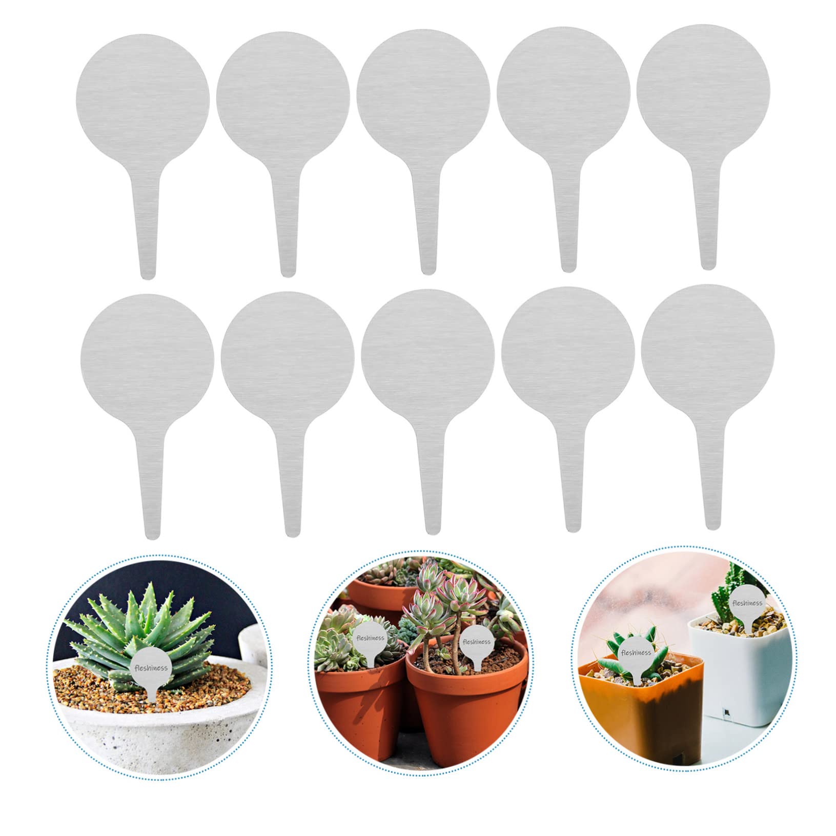150pièces Étiquettes De Plantes Pour Jardin Décoratifs Résistants à Eau Décoloration