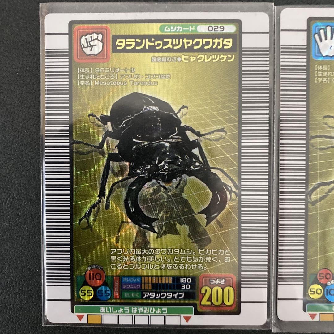 Amazon.co.jp: ムシキングカード タランドゥスツヤクワガタ(左右