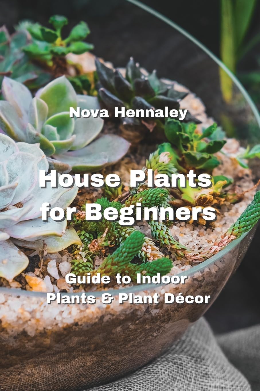 House Plants for Beginners: Guide to Indoor Plants & Plant Décor