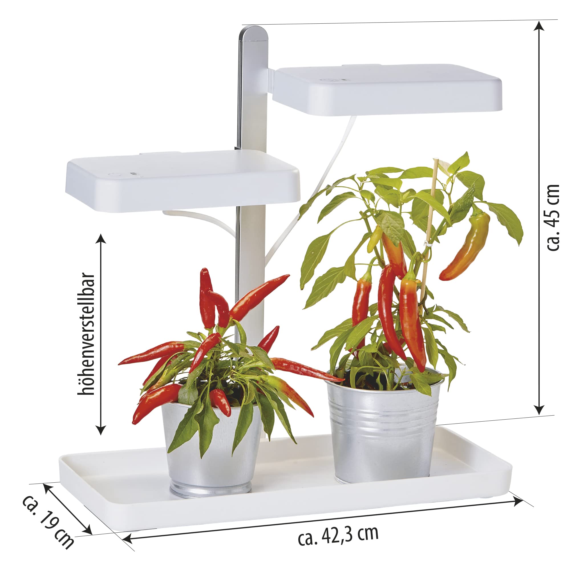 Northpoint LED Pflanzenlampe Gewächslampe Pflanzenlicht 30W Kräutergarten Timerfuntion Innengarten