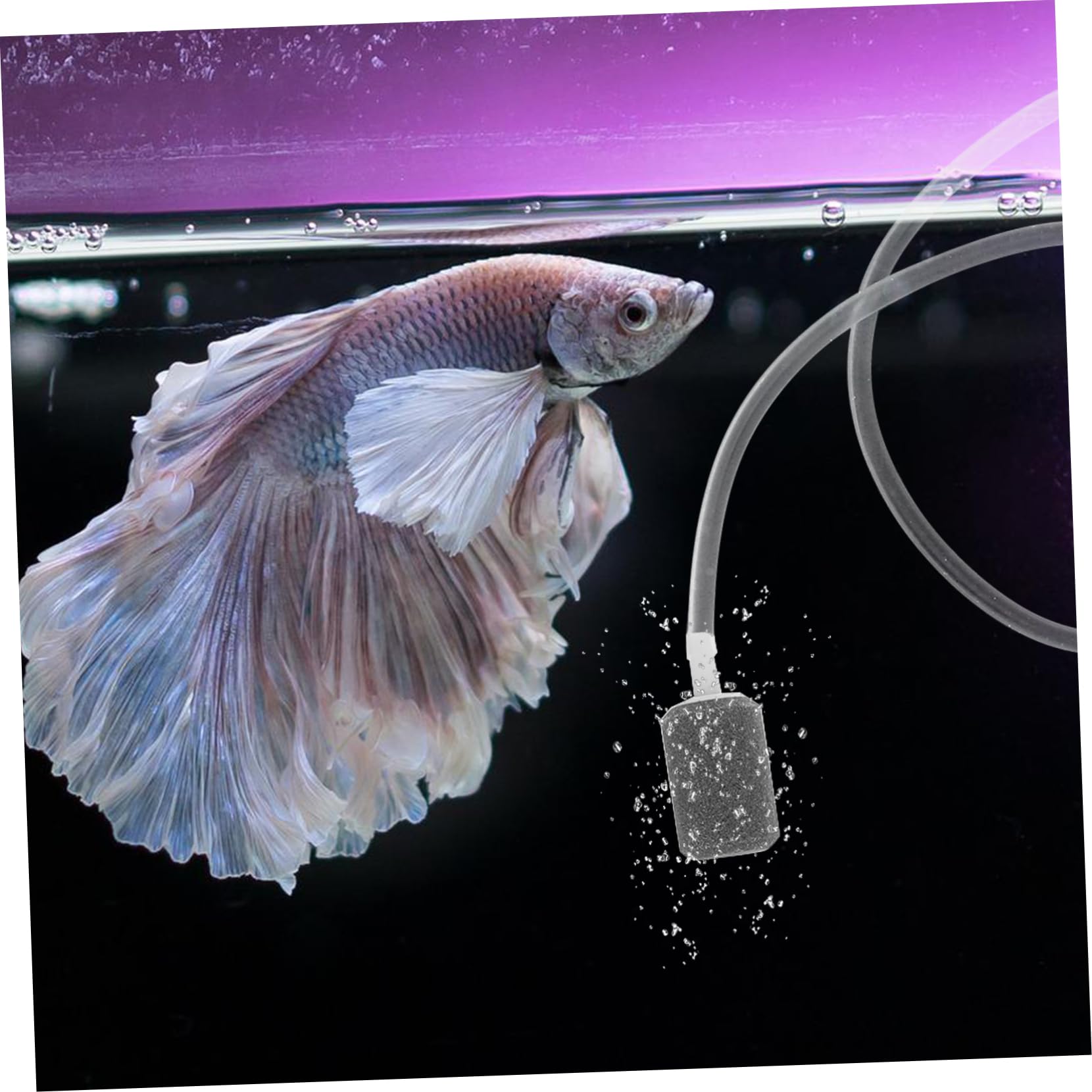 Sosoport Sauerstoffpumpe für Fischbecken Tank Aquarium Spender Flasche USB Aquarienwasserpumpe USB Ladeluftpumpe Zubehör für Aquarien professionelle Sauerstoffpumpe Plastik Weiß