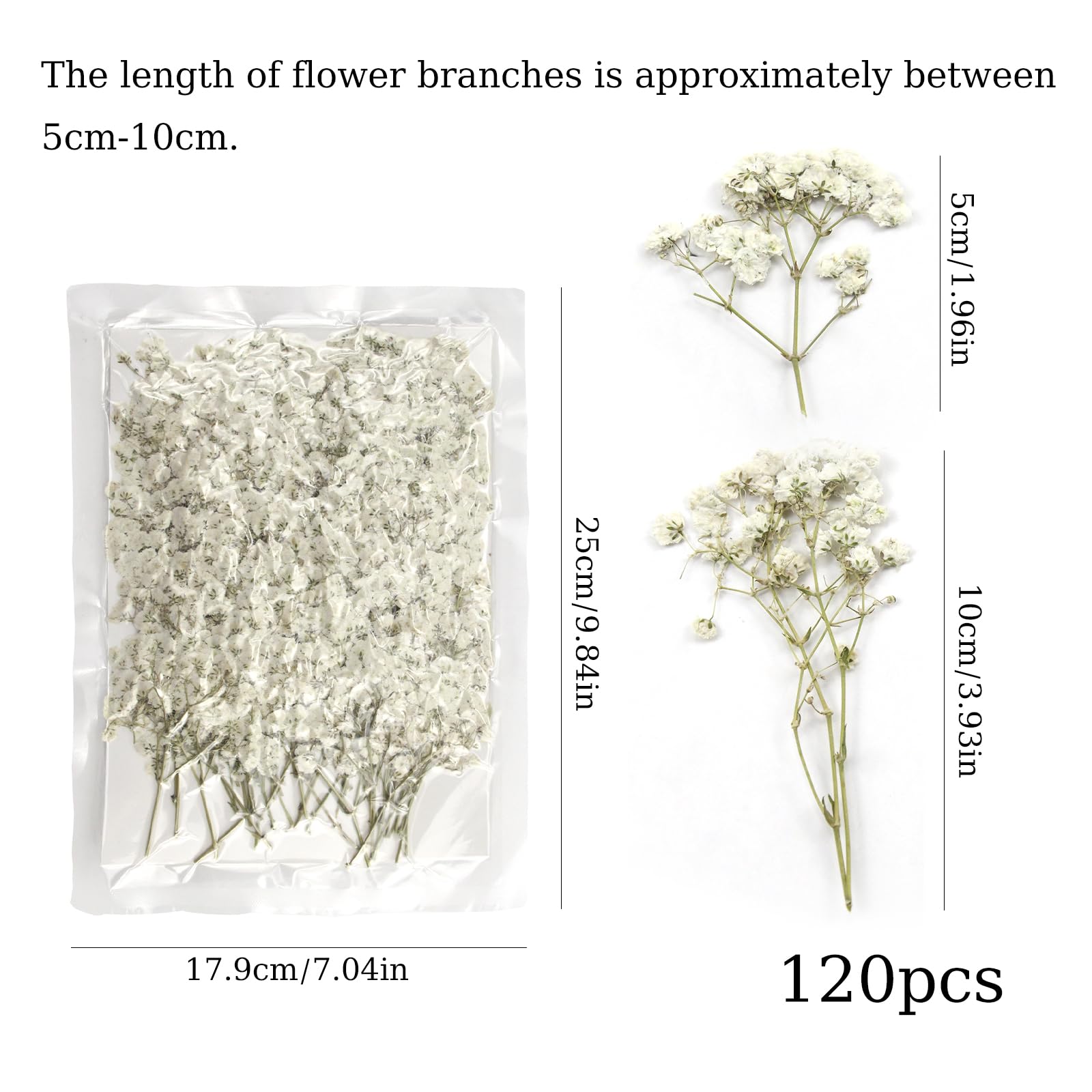 Gypsophila Essiccata Fiori Secchi Decorativi Bianca Naturali 120pcs do Artigianato Fai-da-te