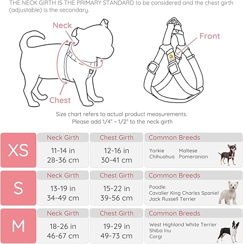 Miniatura 5 de BELLA & PAL Arnés para perro sin tirones, arnés y correa para cachorro, arnés para perro fácil de caminar para perros extra pequeños, chaleco de