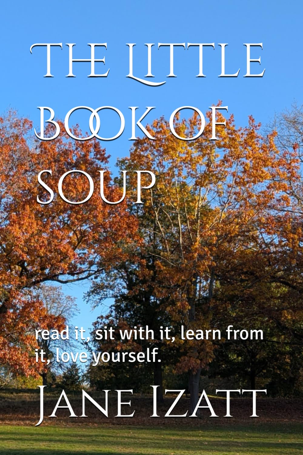 The Little Book of soup: read it, sit with it, learn from it, love yourself.