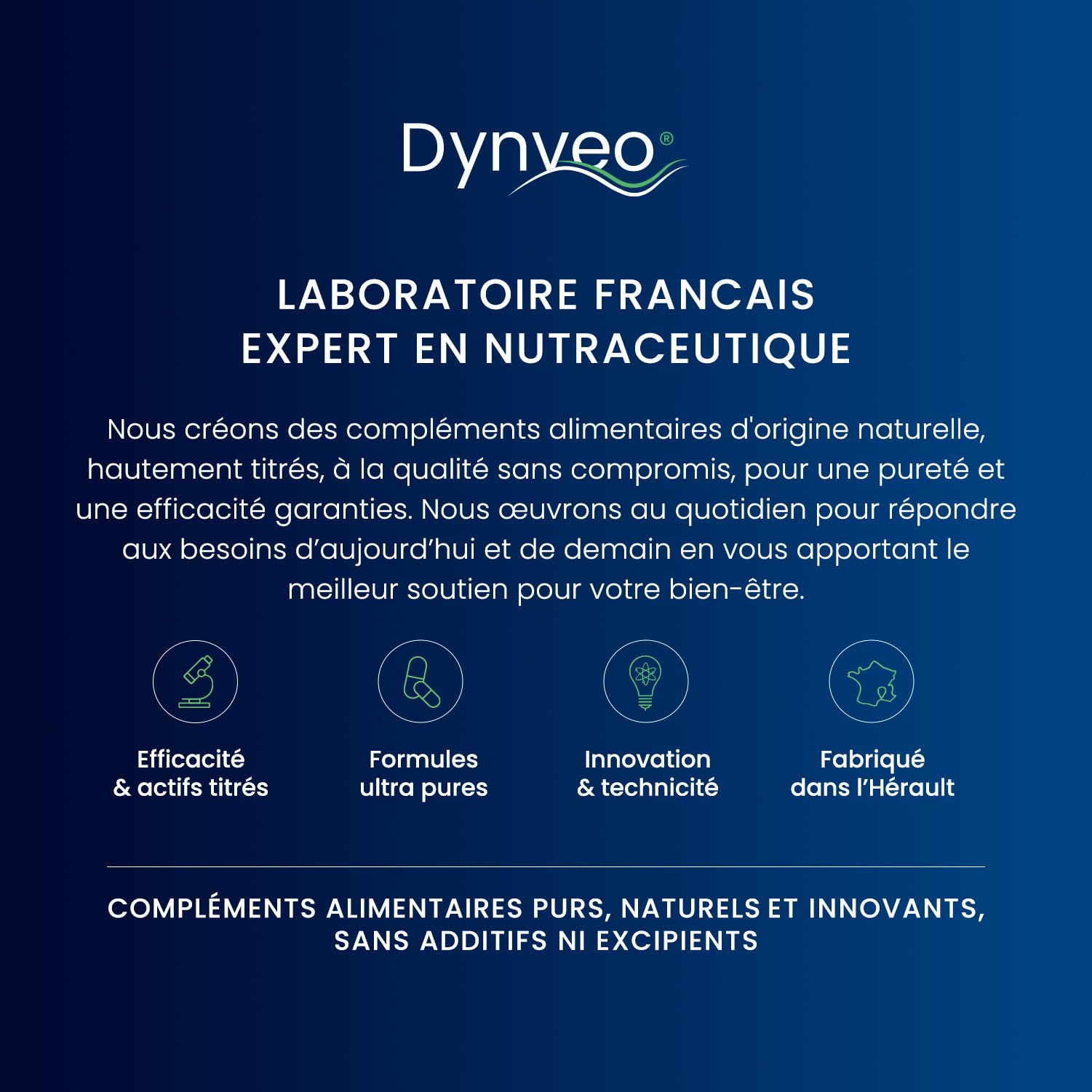 Complexe Vitamines B - Vitalité, Immunité, Peau et Cerveau - 8 Vitamines B Essentielles & 2 Cofacteurs Bioactifs - Biodisponibilité Optimisée et Formulation Vegan - 60 Gélules (2 mois) - Dynveo