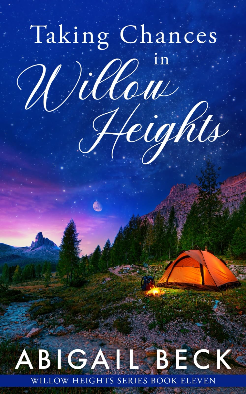 Taking Chances in Willow Heights: Willow Heights Series Book Eleven: 11
