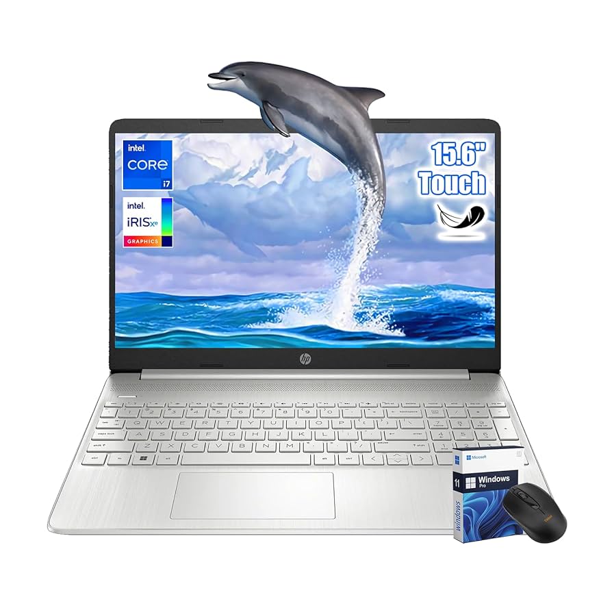Amazon.com: HP 15.6