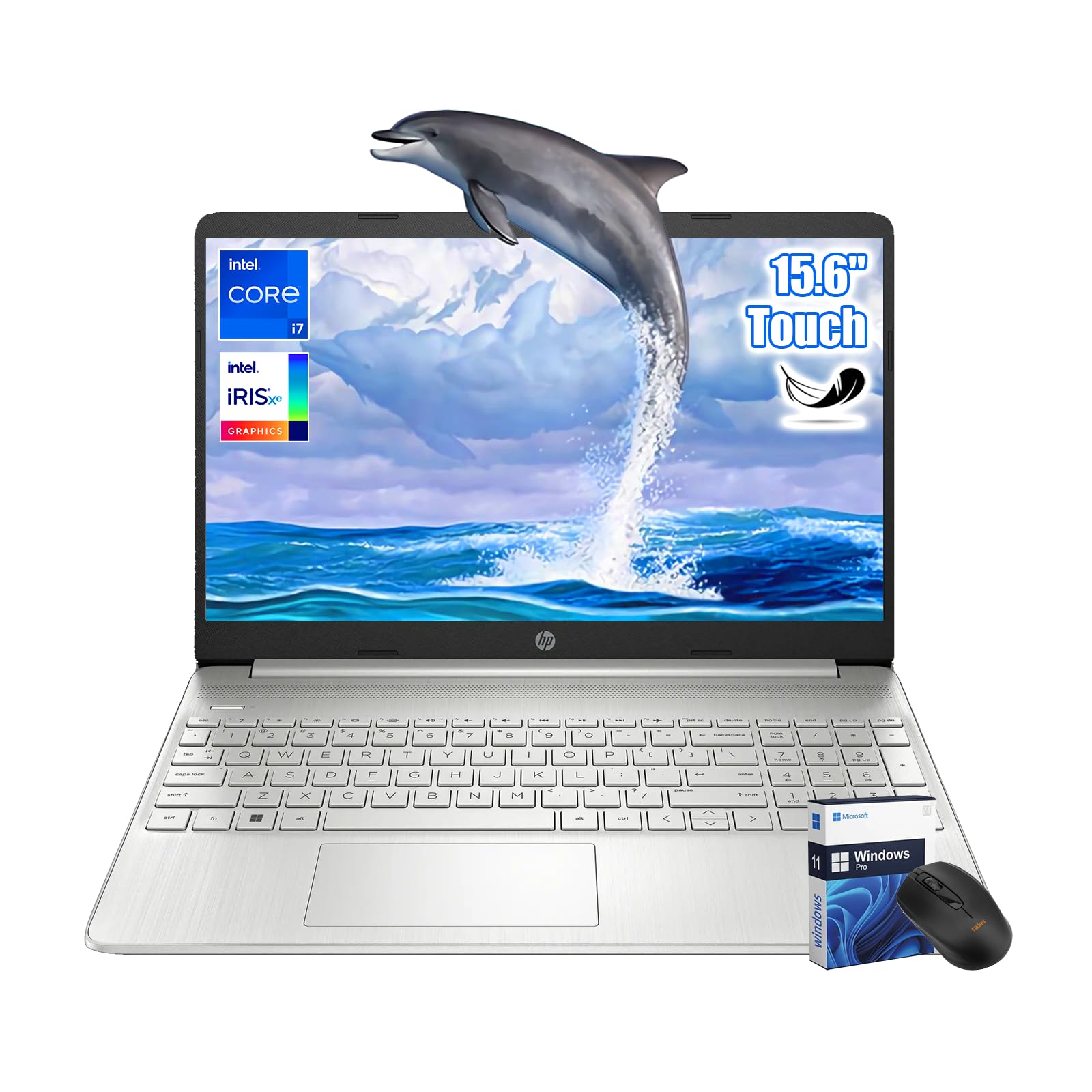 Amazon.com: HP 15.6