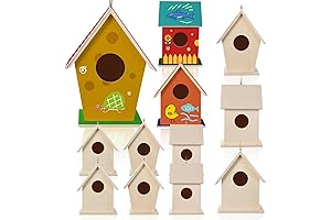 Jetec 12 Pieces Unfinished Bird House Craft Kit for Girls Boys