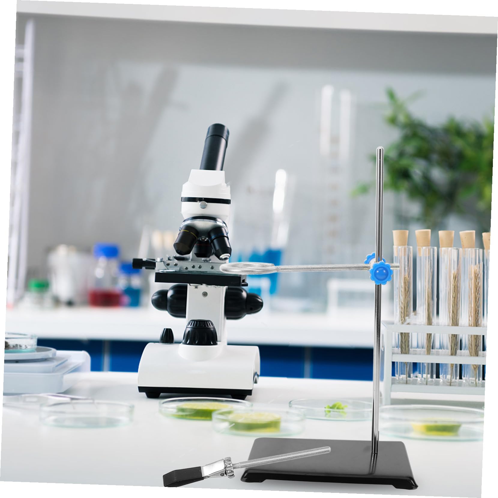 INOOMP Supporto da Laboratorio Morsetto e Base Robusta Stand Chimica per Esperimenti Pesanti Accessorio Essenziale per Organizzazione e Trasporto Strumenti