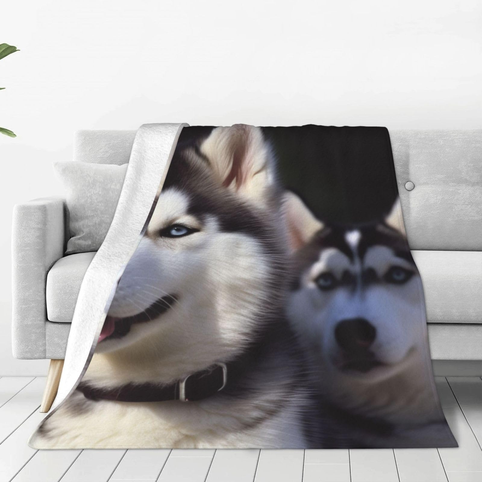 KLOPH Husky Dog Throw Blanket 40"x30" Flannel Fluffy Warm Blanket for Couch, Reversible Plush Blankets for Bed, Comfy Fuzzy Blanket for Sofa, Plush Lightweight-Blankets for All Season
