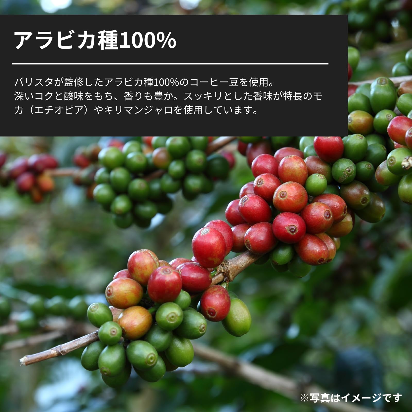 Amazon.co.jp: タリーズコーヒー ボトル缶 BARISTA'S バリスタズ