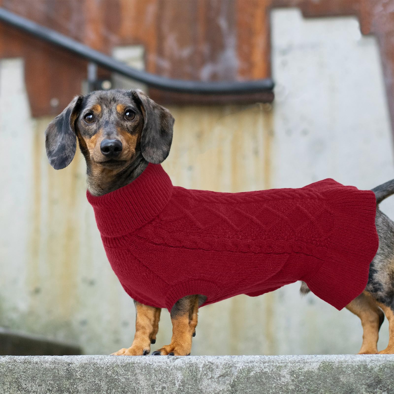 Lelepet Chandail de Noël à col roulé pour chien, en tricot torsadé – Robe chaude pour chiens de petite, moyenne et grande taille – Vêtement d'automne – Chihuahua, taille XS – Rouge