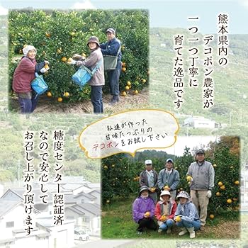 でこぽん　※でこぽん様以外 購入不可 商標について｜組織について | 熊本県果実農業協同組合連合会