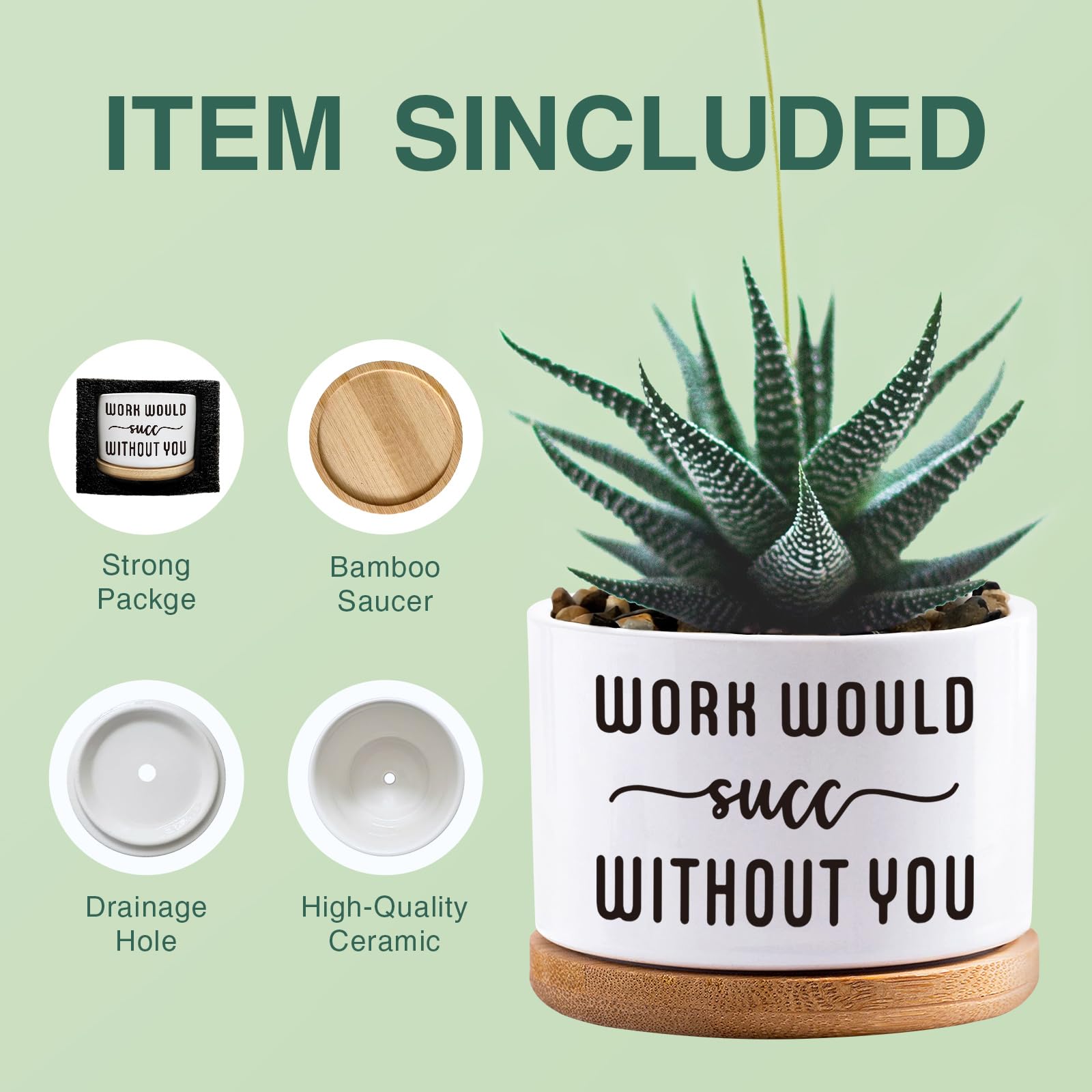 Succulent Plant Pots 3.5 inch Ceramic Succulents Planter - Image 2