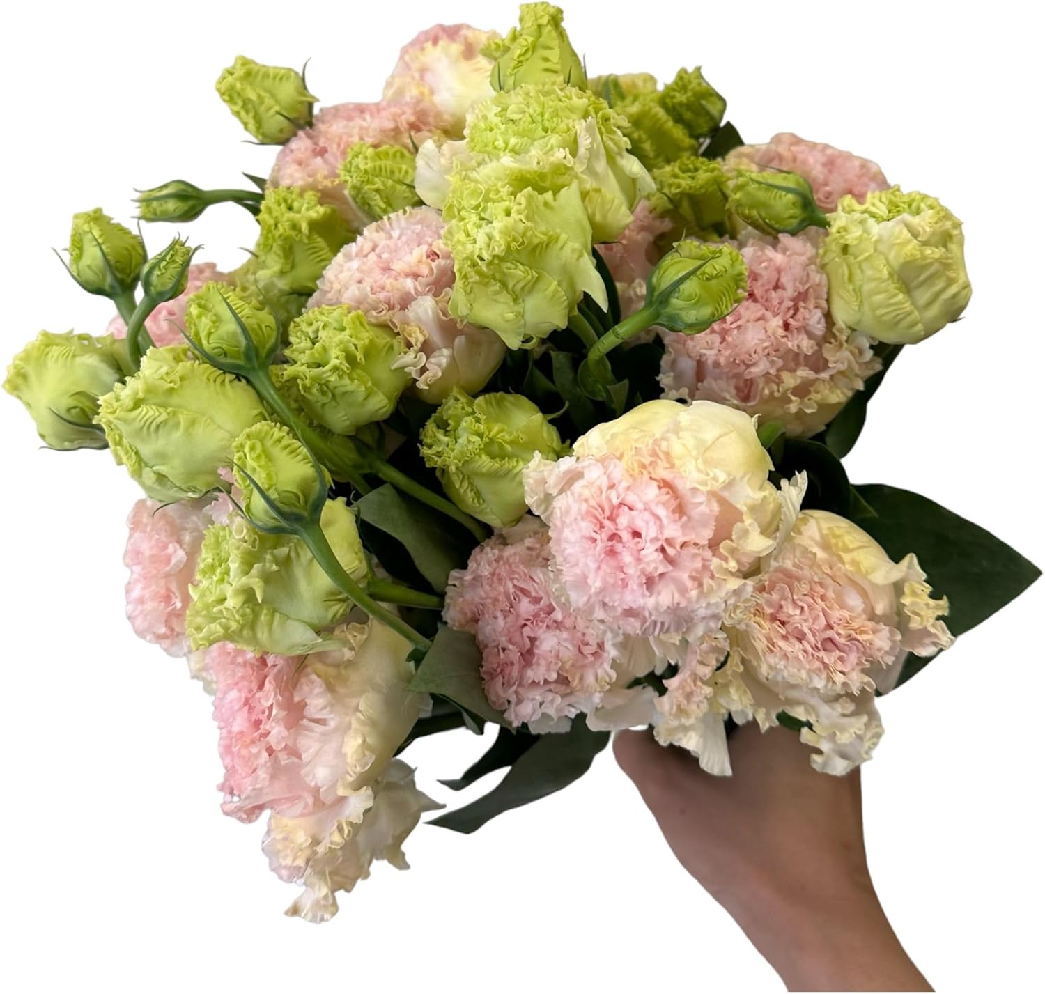 10-Stem Grade A Wavy Lisianthus Fresh Cut Flower Bouquet for Home Decor Birthdays Anniversaries Healing Sympathy Friendship and Love