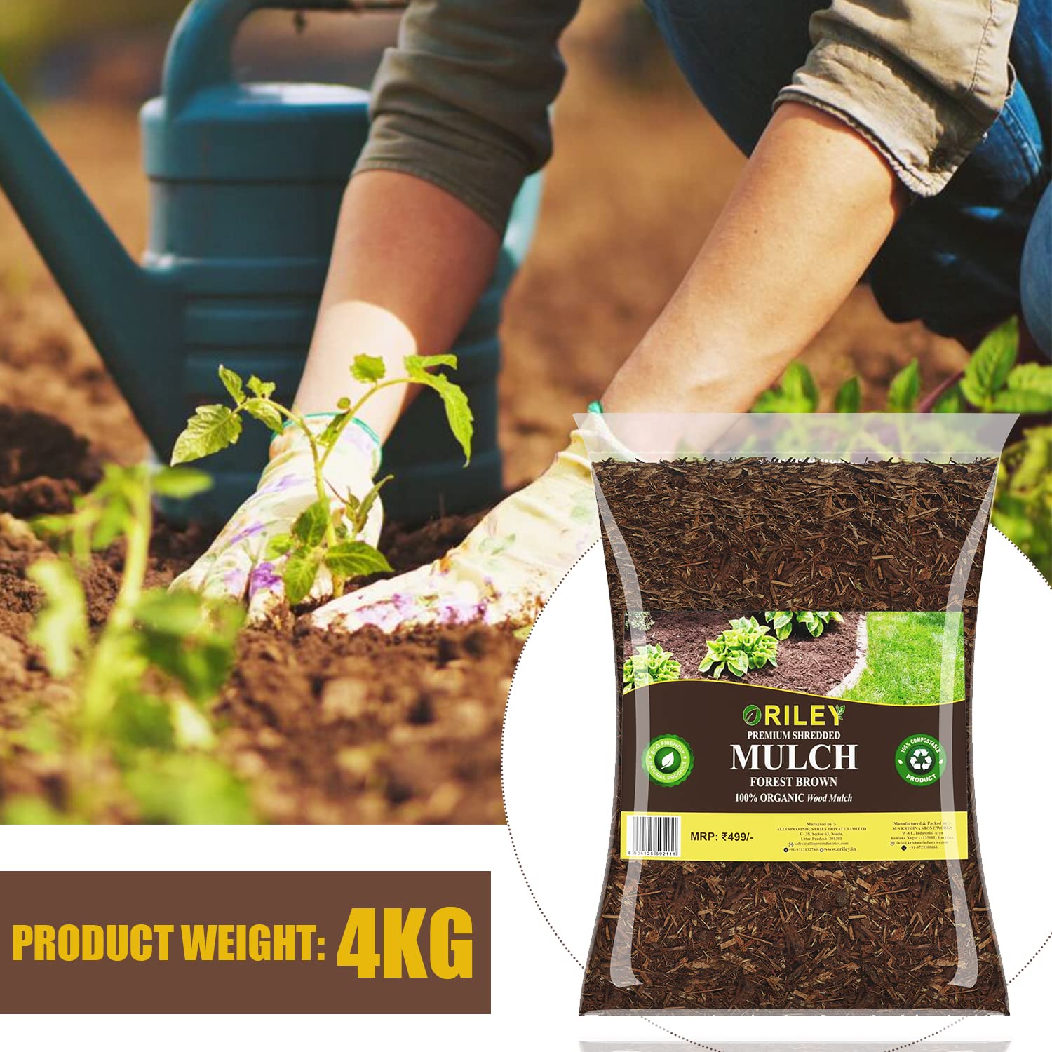 Top 76+ bagged brown mulch super hot esthdonghoadian