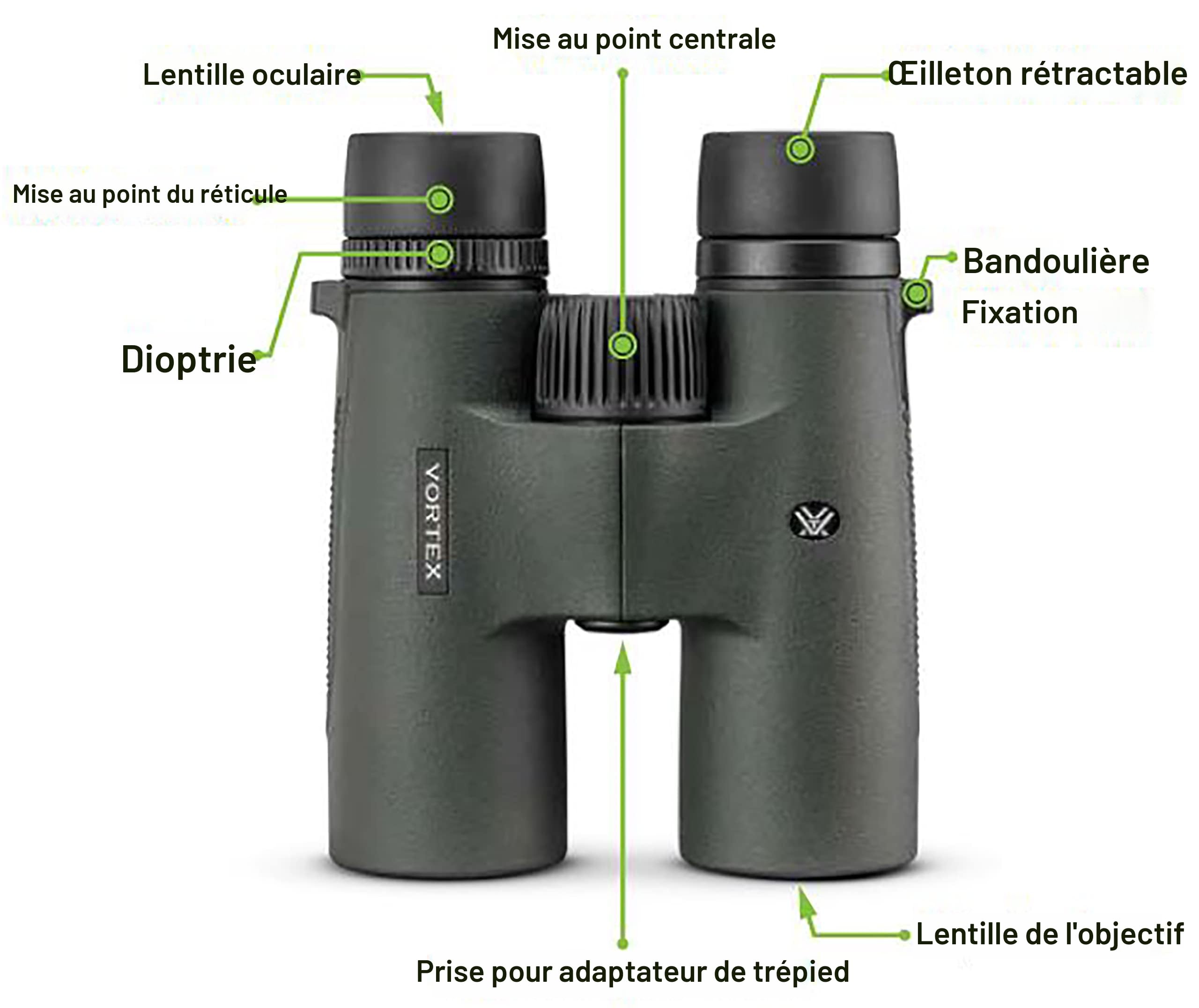 Jumelles légères 10x42 avec verres multicouches pour images lumineuses