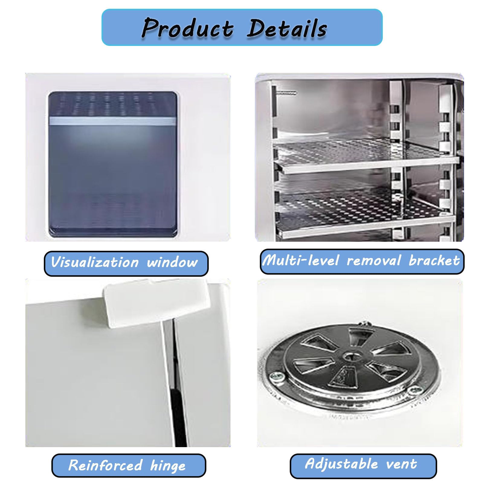 Four de séchage à température constante par air pulsé, Four de séchage électrique de Laboratoire, Four de séchage de Laboratoire, pour Applications de Laboratoire 16L