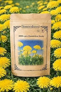 4000+ Dandelion Seeds for Planting – Heirloom Non-GMO Taraxacum Officinale Seeds, Easy Grow Wildflower Lawn & Garden, Outdoor Yard Pollinator Friendly, loseedsoo