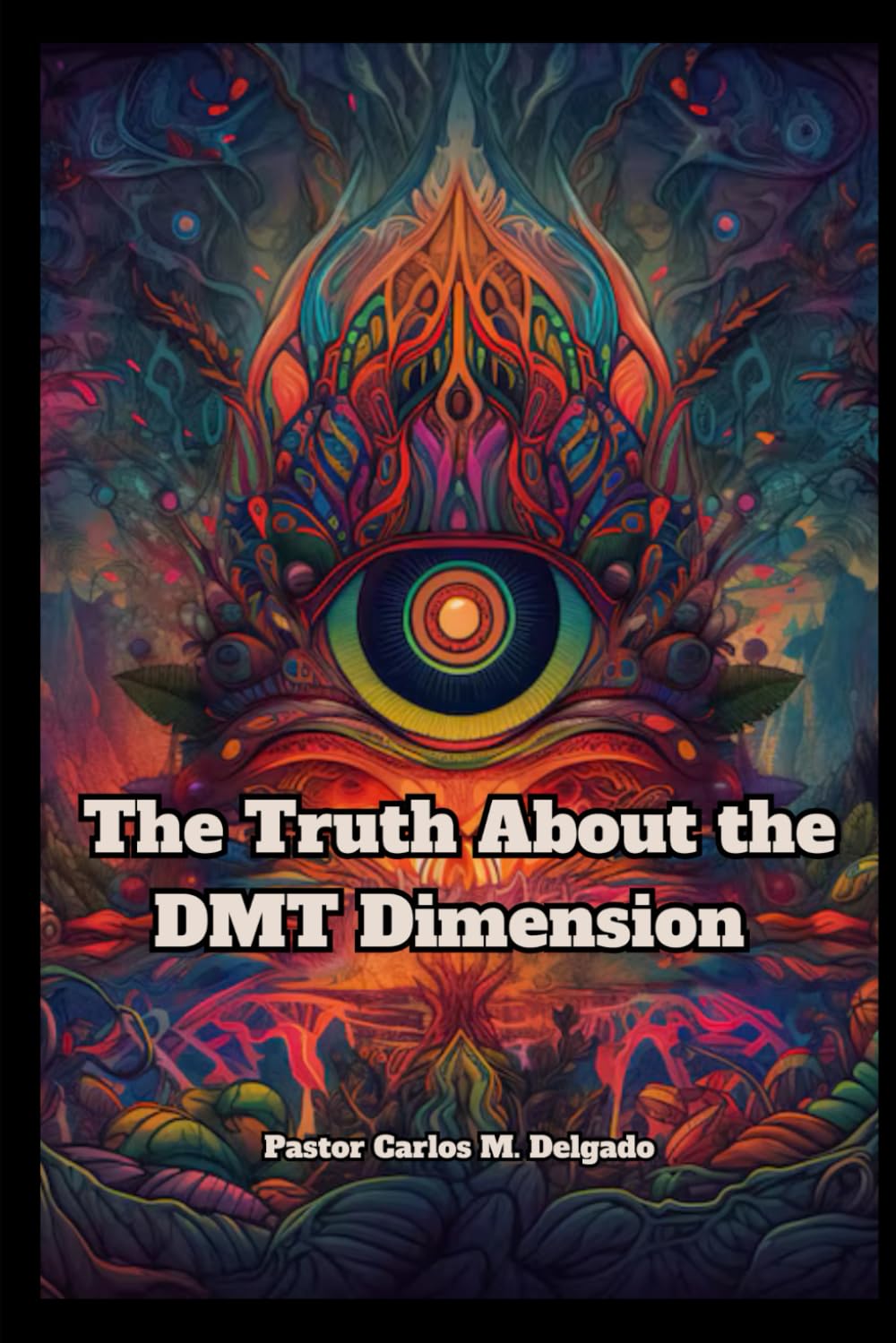 The Truth About the DMT Dimension