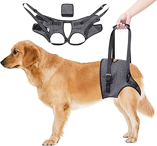 Arnés de Elevación para Perros - Arnes Ayuda Perro, Arnes de Transporte para Perros, Suave, Ajustable para apoyar a Perros Mayores, Heridos y Discapacitados (Gris) (XL)