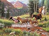 Cobble Hill 1000 Piece Puzzle - Mountain Thunder - Sample Poster Included
