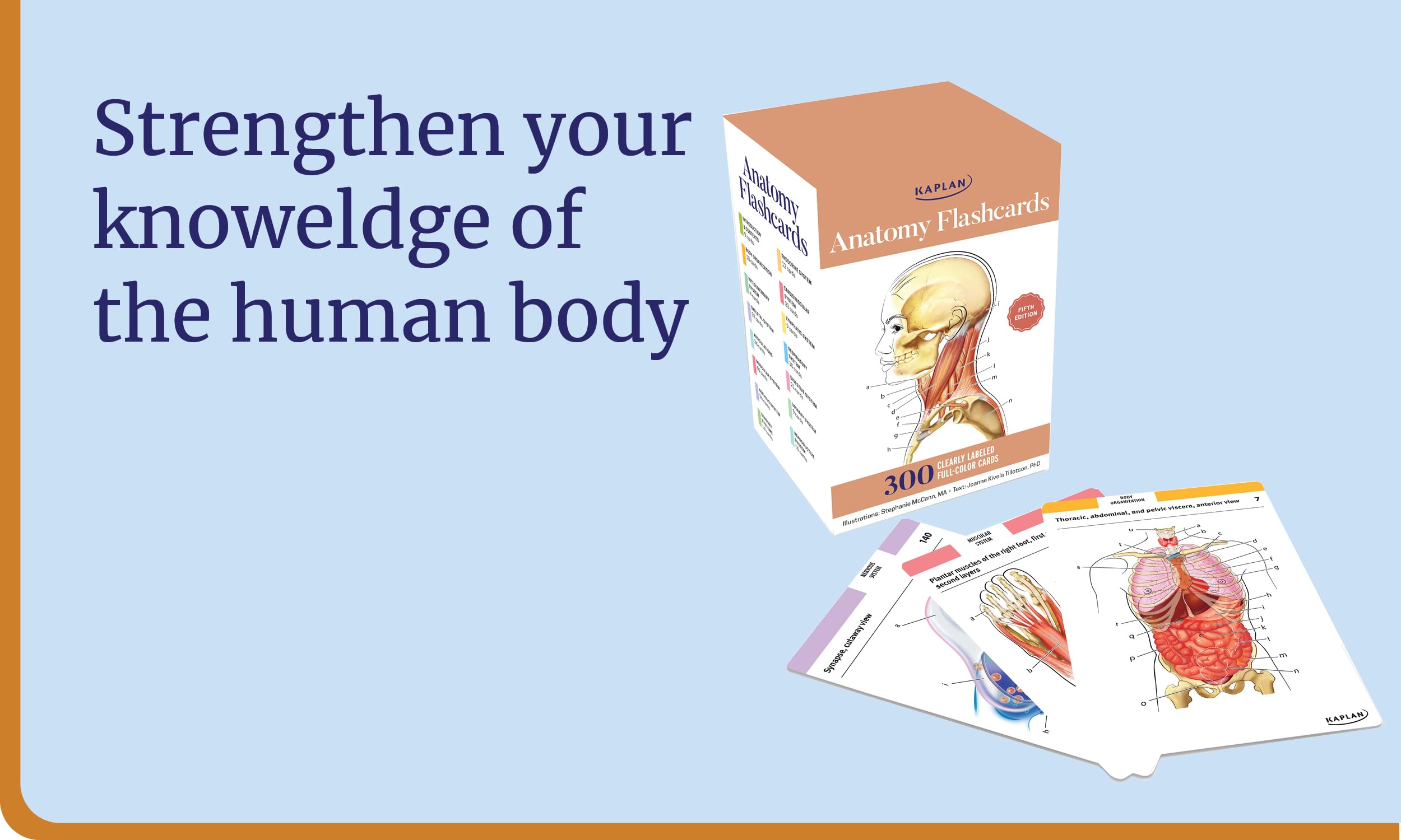 Anatomy Flashcards: 300 Flashcards with Anatomically Precise Drawings and Exhaustive Descriptions: 300 Clearly Labeled Full-Color Cards