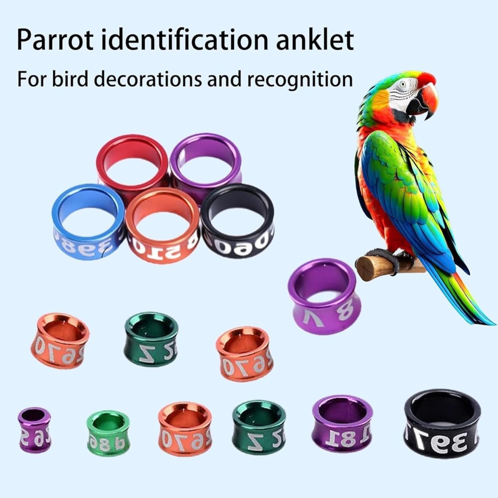 Générique Bande Professionnelle à Jambe fermée pour Oiseaux - Bague en Aluminium Durable pour perroquets, pacaws, Conures, Oiseaux Exotiques (Couleurs Mixtes)