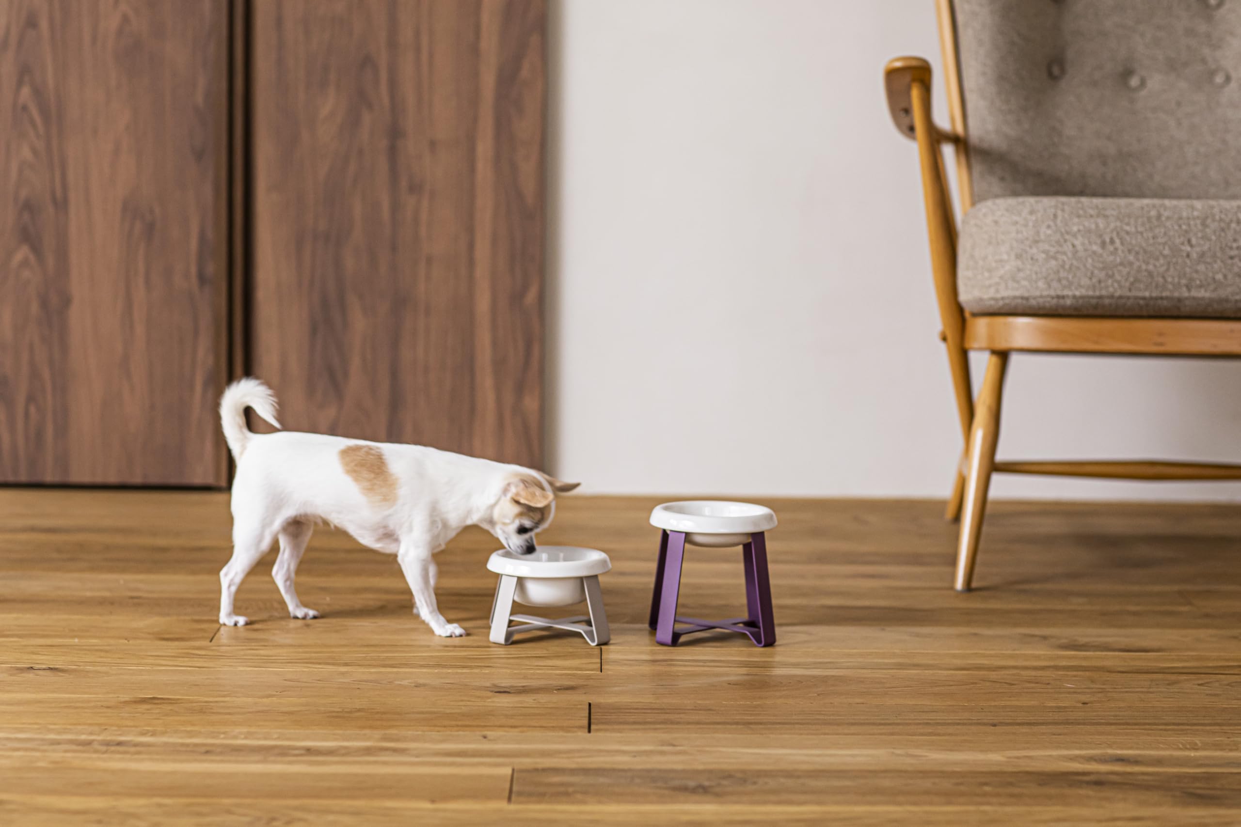 Amazon | PECOLO FoodStand(S)深型陶器 ソフトトープ | PECOLO | 食器