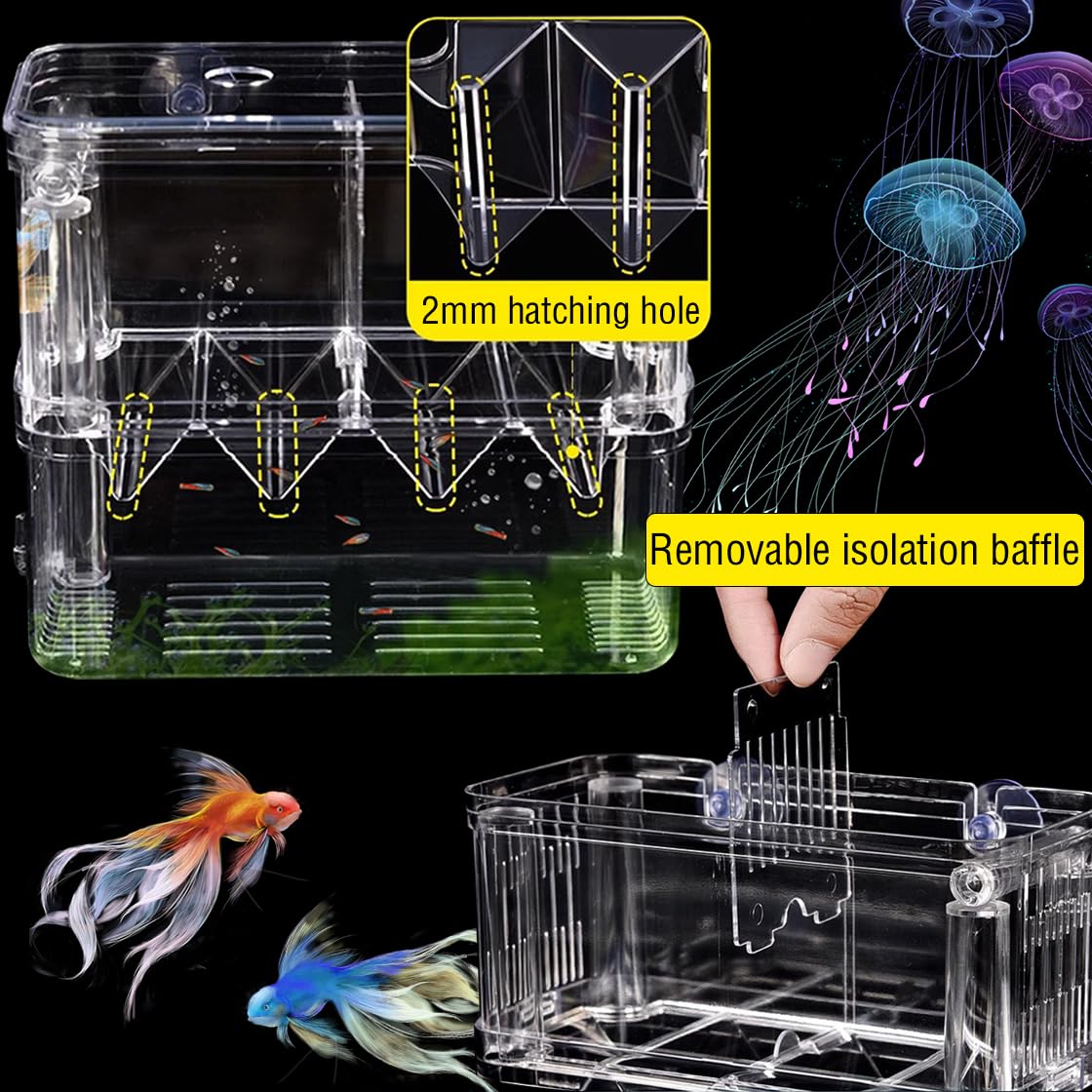 Double Room Breeding Box for Fish Tank Fish Tank Aquarium betta guppy - Image 4